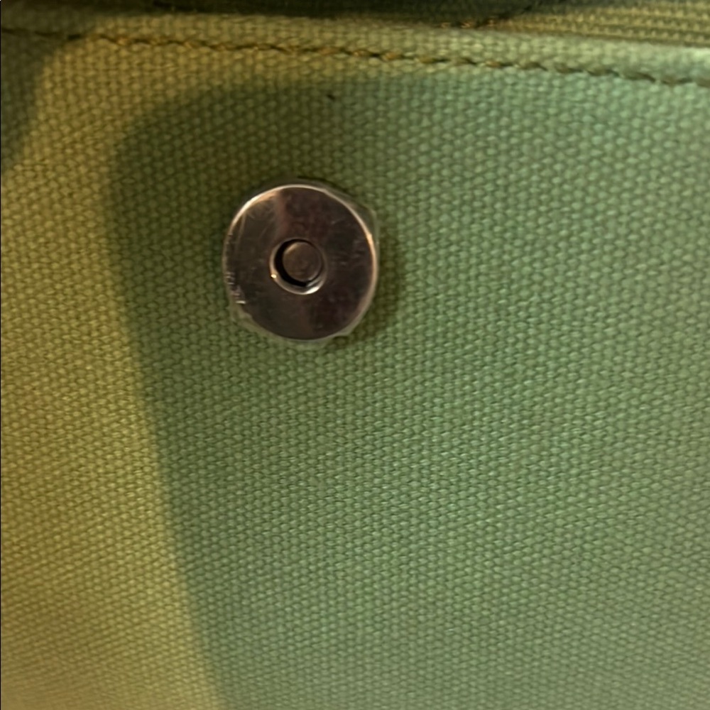 Brandy Melville Green Shoulder Bag - Picture 8 of 9